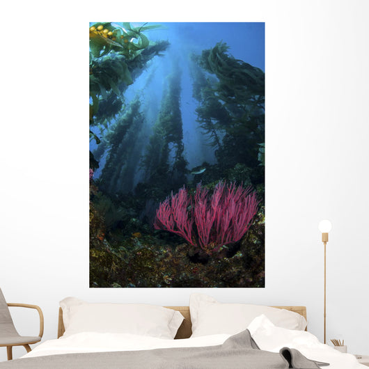 Gorgonian and Straight Kelp Wall Decal