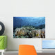 Fish Swimming over Hard Wall Decal