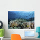 Fish Swimming over Hard Wall Decal