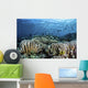 Fish Swimming over Hard Wall Decal
