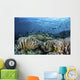 Fish Swimming over Hard Wall Decal