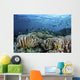 Fish Swimming over Hard Wall Decal