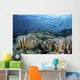 Fish Swimming over Hard Wall Decal