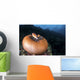 Anemone Fish outside Their Wall Decal