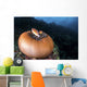 Anemone Fish outside Their Wall Decal