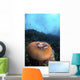 Anemone Closes While It Wall Decal