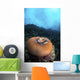 Anemone Closes While It Wall Decal