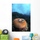 Anemone Closes While It Wall Decal