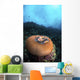Anemone Closes While It Wall Decal
