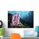 Coral Reef Indonesia Hosts Wall Decal