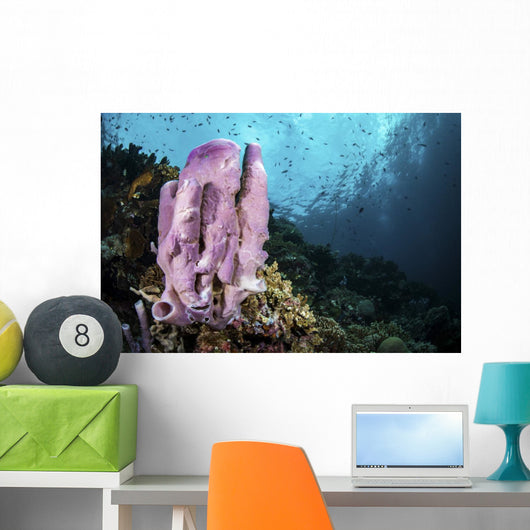 Coral Reef Indonesia Hosts Wall Decal