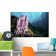 Coral Reef Indonesia Hosts Wall Decal