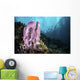 Coral Reef Indonesia Hosts Wall Decal
