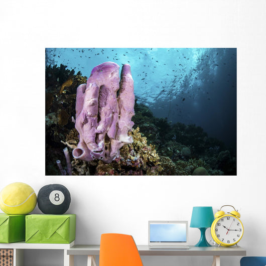 Coral Reef Indonesia Hosts Wall Decal