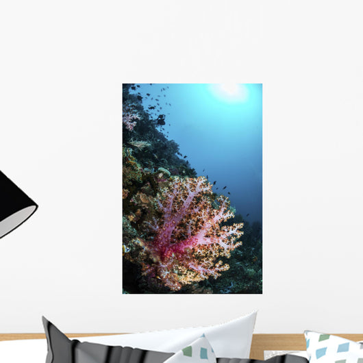 Coral Reef Indonesia Hosts Vertical Wall Decal