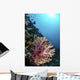 Coral Reef Indonesia Hosts Vertical Wall Decal