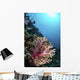 Coral Reef Indonesia Hosts Vertical Wall Decal