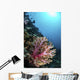 Coral Reef Indonesia Hosts Vertical Wall Decal