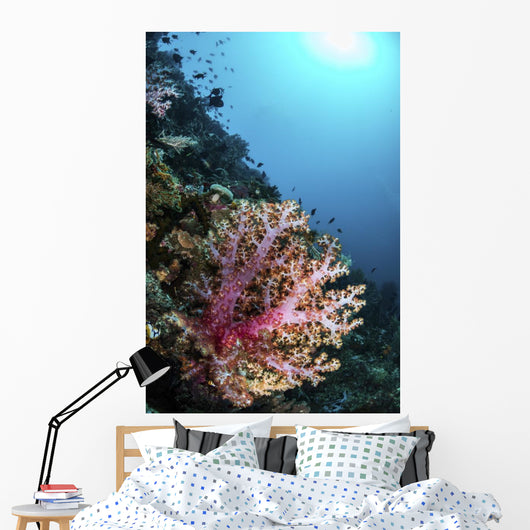 Coral Reef Indonesia Hosts Vertical Wall Decal