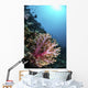 Coral Reef Indonesia Hosts Vertical Wall Decal