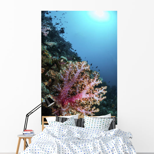 Coral Reef Indonesia Hosts Vertical Wall Decal