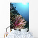 Coral Reef Indonesia Hosts Vertical Wall Decal