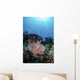 Two Feather Stars Climb Wall Decal