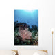 Two Feather Stars Climb Wall Decal