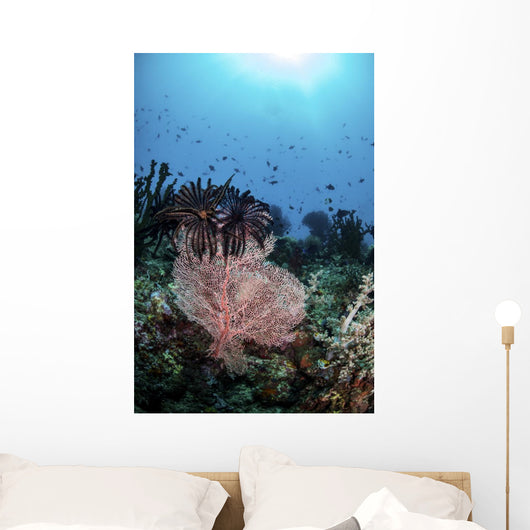 Two Feather Stars Climb Wall Decal