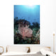Two Feather Stars Climb Wall Decal