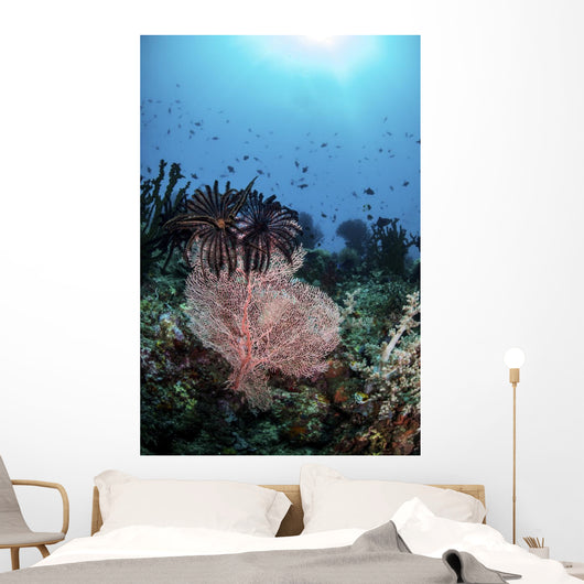 Two Feather Stars Climb Wall Decal