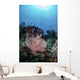 Two Feather Stars Climb Wall Decal