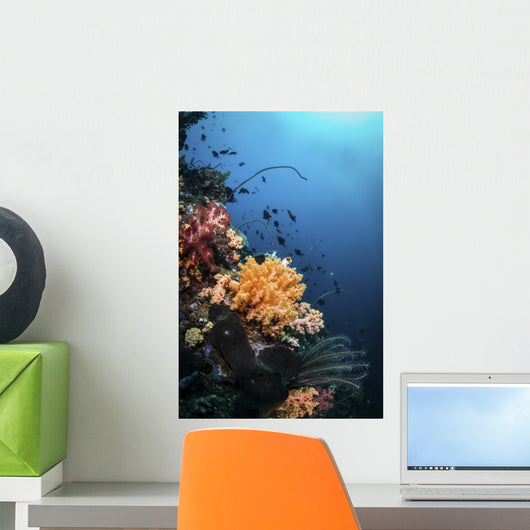 Soft Corals and Fish Wall Decal