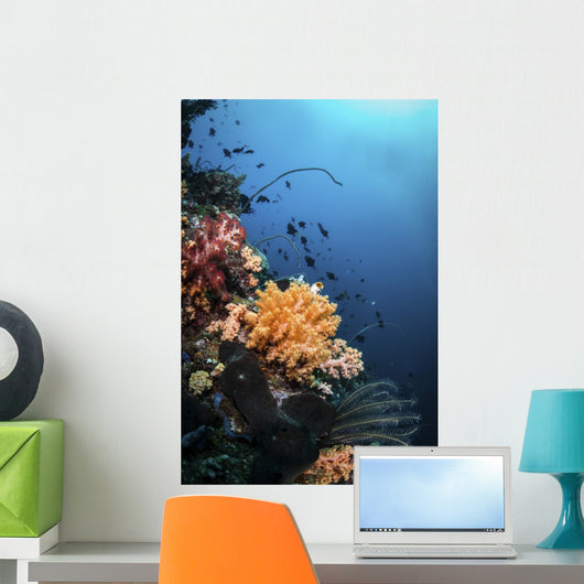 Soft Corals and Fish Wall Decal