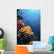 Soft Corals and Fish Wall Decal