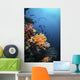 Soft Corals and Fish Wall Decal