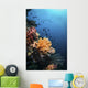 Soft Corals and Fish Wall Decal