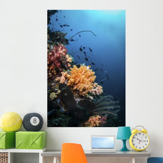 Soft Corals and Fish Wall Decal