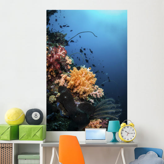Soft Corals and Fish Wall Decal