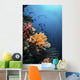 Soft Corals and Fish Wall Decal