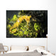 Yellow Seahorse Its Natural Wall Decal