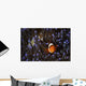 Clownfish Anemone North Sulawesi Wall Decal
