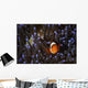 Clownfish Anemone North Sulawesi Wall Decal