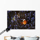 Clownfish Anemone North Sulawesi Wall Decal
