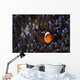 Clownfish Anemone North Sulawesi Wall Decal