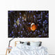 Clownfish Anemone North Sulawesi Wall Decal