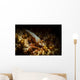 Emporer Shrimp Living Back Wall Decal