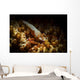 Emporer Shrimp Living Back Wall Decal