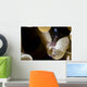 Anemone Shrimp Its Anemone Wall Decal