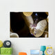 Anemone Shrimp Its Anemone Wall Decal
